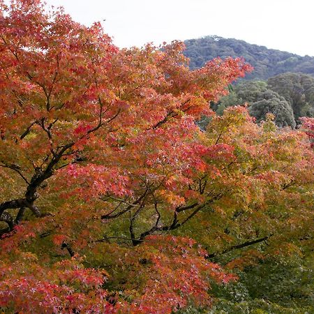 بيت شباب Osaka Ya Namba المظهر الخارجي الصورة